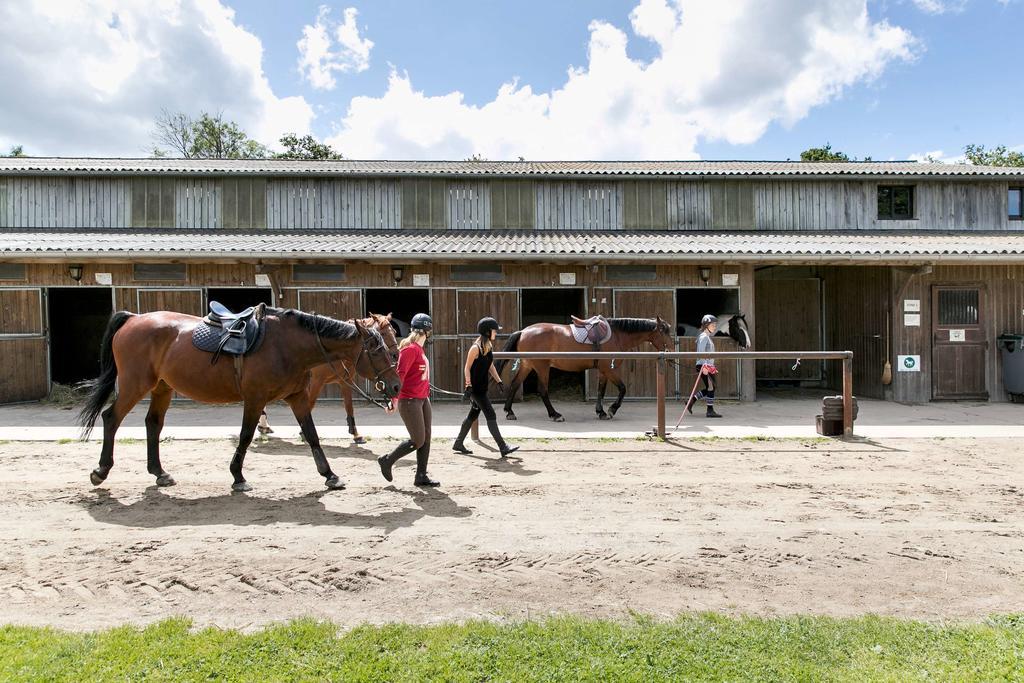 Appartements Les Ormes Epiniac Buitenkant foto