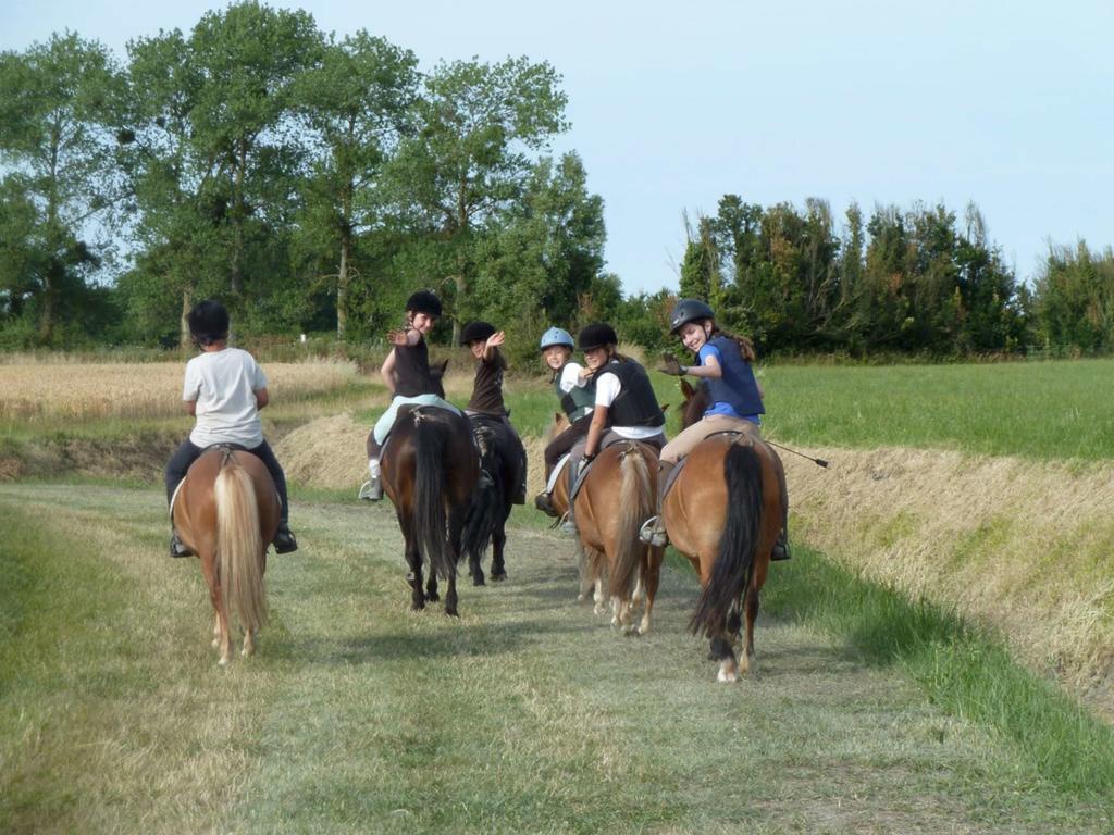 Appartements Les Ormes Epiniac Buitenkant foto